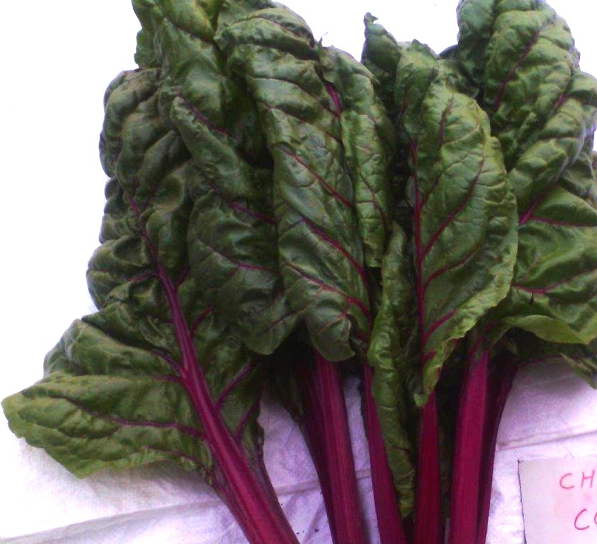 Red Chard – Bild 2